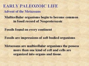 EARLY PALEOZOIC LIFE Advent of the Metazoans Multicellular