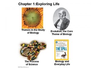 Chapter 1 Exploring Life Themes in the Study