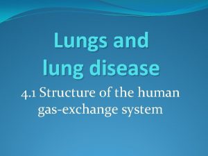 Lungs and lung disease 4 1 Structure of