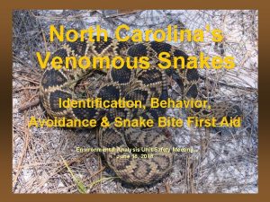 North Carolinas Venomous Snakes Identification Behavior Avoidance Snake