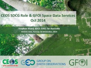 www earthobservations org www gfoi org CEOS SDCG