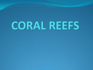 CORAL REEFS Corals Overview Coral reefs are underwater