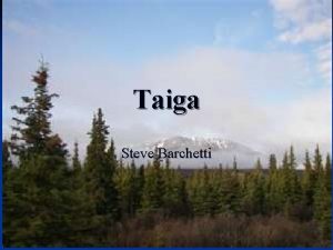 Taiga Steve Barchetti Abiotic factors n Climate The