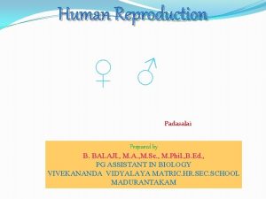 Human Reproduction Padasalai Prepared by B BALAJI M