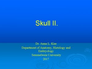 Skull II Dr Anna L Kiss Department of