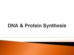 DNA Protein Synthesis DNA Components DNA is made