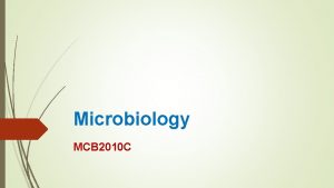 Microbiology MCB 2010 C Your Instructor Professor Yasser