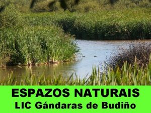 ESPAZOS NATURAIS LIC Gndaras de Budio O espazo