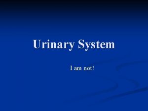 Urinary System I am not Urinary System Kidneys