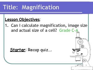I am magnification triangle