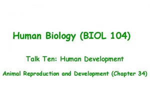 Human Biology BIOL 104 Talk Ten Human Development