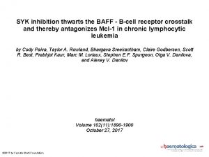 SYK inhibition thwarts the BAFF Bcell receptor crosstalk