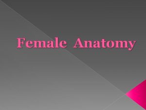 Female Anatomy Ovary Female Reproductive organ that produces