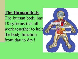 The Human Body The human body has 10