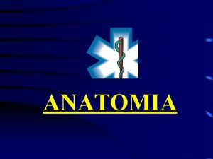 ANATOMIA ANATOMIA DIVISO DO CORPO HUMANO CABEA PESCOO