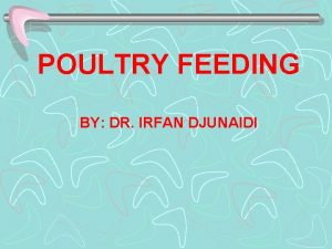 POULTRY FEEDING BY DR IRFAN DJUNAIDI POULTRY FEEDING