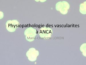 Physiopathologie des vascularites ANCA MarieCharlotte LORON ANCA ANCA