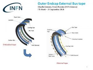 Outer Endcap External Bus tape Claudia Gemme Ettore