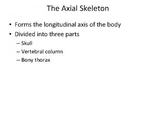 The Axial Skeleton Forms the longitudinal axis of