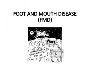 FOOT AND MOUTH DISEASE FMD Clovenhoofed animals i