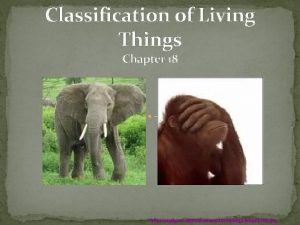 Classification of Living Things Chapter 18 http analyzer