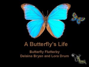 Butterfly flutterby poem