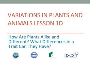 VARIATIONS IN PLANTS AND ANIMALS LESSON 1 D