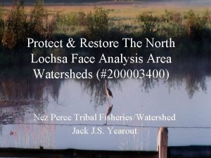 Protect Restore The North Lochsa Face Analysis Area