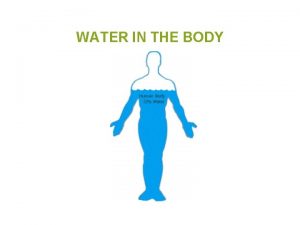 WATER IN THE BODY WATER IN THE BODY