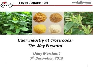 Lucid Colloids Ltd Guar Industry at Crossroads The