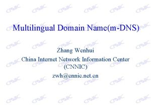 Multilingual Domain NamemDNS Zhang Wenhui China Internet Network