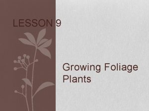 LESSON 9 Growing Foliage Plants Next Generation Science