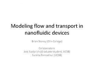 Modeling flow and transport in nanofluidic devices Brian