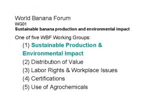 World Banana Forum WG 01 Sustainable banana production