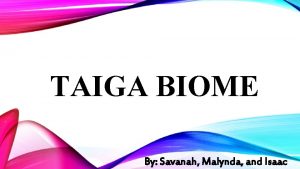 TAIGA BIOME By Savanah Malynda and Isaac ATTRACTIONS