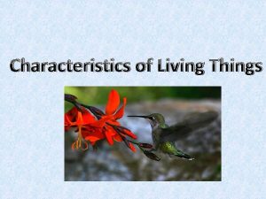 Characteristics of Living Things 1 Living things are