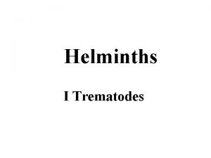 Helminths I Trematodes The term Helminths mean worm