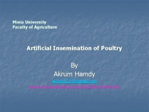 Minia University Faculty of Agriculture Artificial Insemination of
