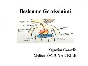 Beslenme Gereksinimi retim Grevlisi Meltem ZDUYAN KILI Sindirim