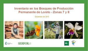 Inventario en los Bosques de Produccin Permanente de