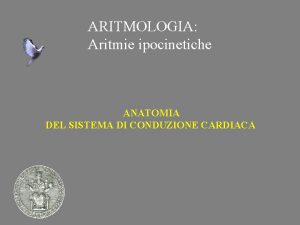 ARITMOLOGIA Aritmie ipocinetiche ANATOMIA DEL SISTEMA DI CONDUZIONE