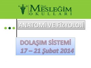 Magnum küçüldü mü