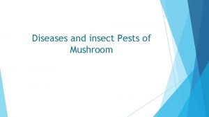 Diseases and insect Pests of Mushroom INTRODUCTION Mushroom