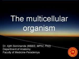 The multicellular organism Dr Ajith Sominanda MBBS MPhil