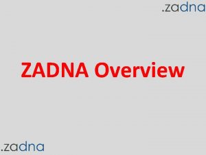 ZADNA Overview Key Definitions ZADNA ZA Domain Name