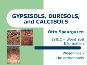 GYPSISOLS DURISOLS and CALCISOLS Otto Spaargaren ISRIC World