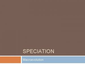 SPECIATION Macroevolution Review Microevolution Changes in allele freq