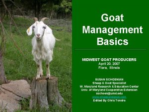 Goat Management Basics MIDWEST GOAT PRODUCERS April 20