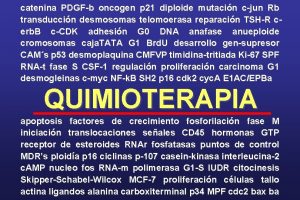 catenina PDGFb oncogen p 21 diploide mutacin cjun