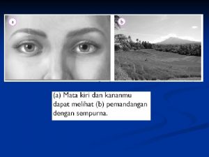 ALATALAT OPTIK A MATA 1 kornea Berfungsi menerima